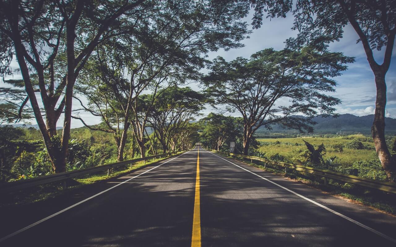 Id cursus metus aliquam eleifend mi in Asphalt Environment Grass Highway 239520