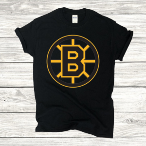 Boston Bruins Hockey