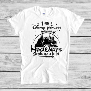 Mickey Castle  Hogwarts Letter