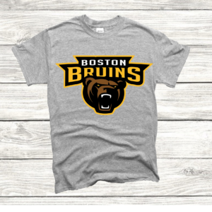 Boston Bruins Bear