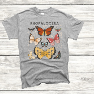 Rhopalocera Butterflies